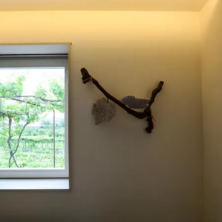 Quinta Do Fundo Feriehus